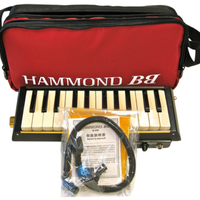 MELODION PRO-24B